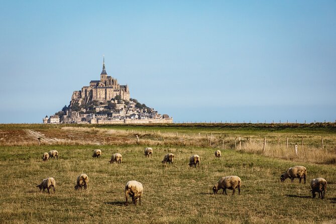 E-Bike Tour to Mont Saint Michel // Private guided tour - Starting Point and Convenient Pickup in Bayeux