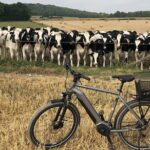 E.Bike Tours around Heidelberg - Scenic Routes and Highlights of the Countryside