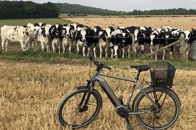 E.Bike Tours around Heidelberg - Scenic Routes and Highlights of the Countryside