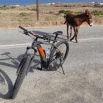 E-bike tours Explore Thirasia- Santorini - The Guide’s Narrative and Local Cultural Insights