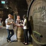 E-Bike Wine Culture Tour - Scenic Ride along the Danube Canal and Riverside Paths