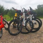 E-biking Central Forgotten Giants' s Adventure - Scenic Routes and Hidden Spots Along the Way