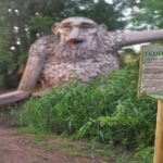 E-biking Northern Forgotten Giants' s Adventure - E-Bikes: Designed for Comfort and Safety