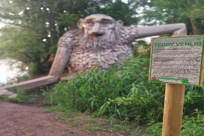 E-biking Northern Forgotten Giants' s Adventure - E-Bikes: Designed for Comfort and Safety