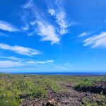 E-Mountain Bike Tour in South Point Hawaii - What Makes the South Point E-Mountain Bike Tour Special