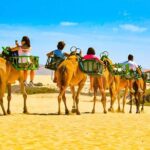 E-Scooter Tour with Camel ride : Maspalomas Dunes and main points - Exploring the Maspalomas Dunes and Reserve