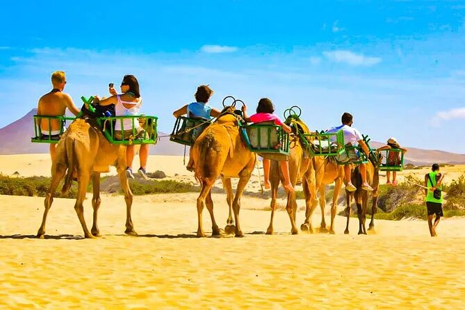 E-Scooter Tour with Camel ride : Maspalomas Dunes and main points - Exploring the Maspalomas Dunes and Reserve