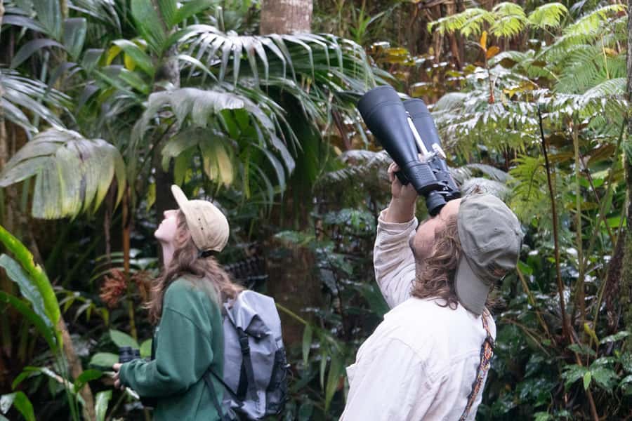Early Bird Guided Birding Tour - Kailua-Kona, HI - The Unique Experience of Kona Cloud Forest Sanctuary