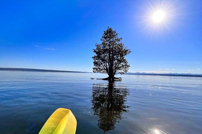 Early Morning Guided Kayak Tour - All Equipment Provided for a Hassle-Free Paddle