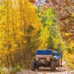 Early Season Special: Scenic Jeep Tour - Scenic Views and Easy Trails in Idaho Springs