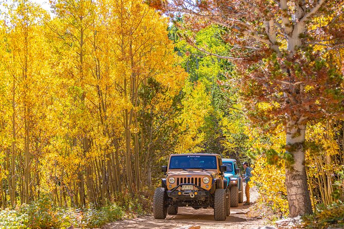 Early Season Special: Scenic Jeep Tour - Scenic Views and Easy Trails in Idaho Springs
