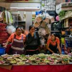 Earth, Corn & Fire: Tasting the Roots of Oaxacan Cuisine - Starting Point and Meeting Details in Oaxaca City