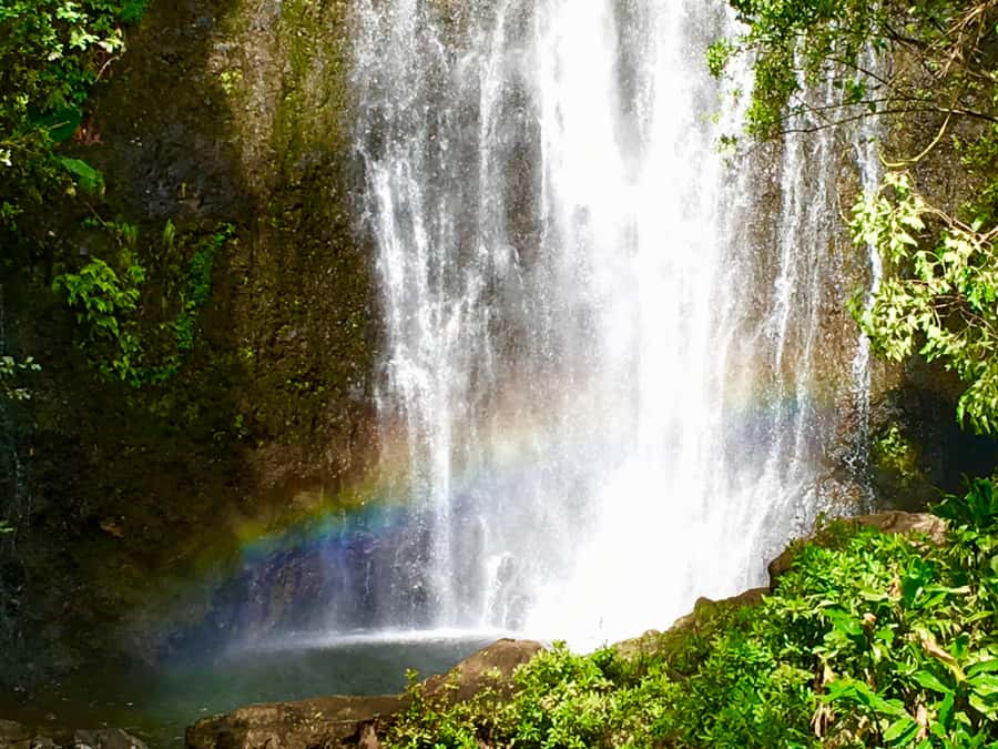 East Maui: Private Rainforest Tour or Road to Hana Loop Tour - Discovering Waterfalls and Hidden Streams Along the Road to Hana