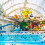 East Rutherford: Dreamworks Indoor Water Park Entry Ticket - Highlights of Dreamworks Characters and Theming