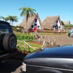 East Tour - 4x4 - Small Group - Exploring Laurissilva Forest: UNESCO World Heritage Site