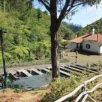 East Tour - Santana - Miradouro da Portela: Panoramic Views of Faial and Porto da Cruz