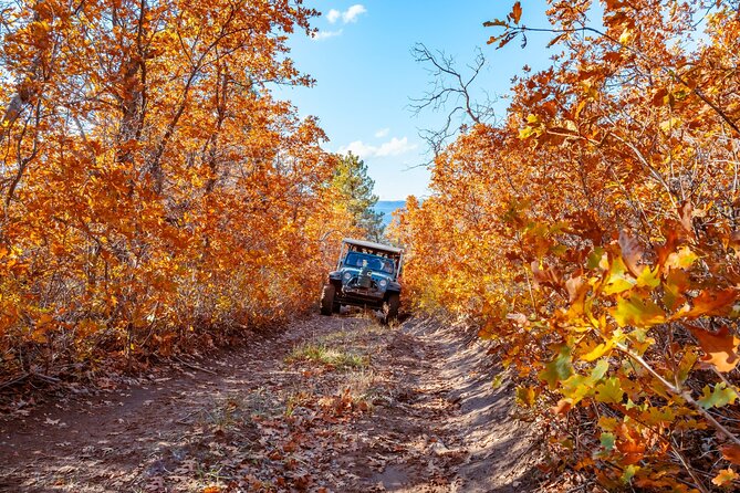 East Zion Brushy Cove Jeep Tour - Scenic Views of Tributary Canyons Overlooked by Larger Tours