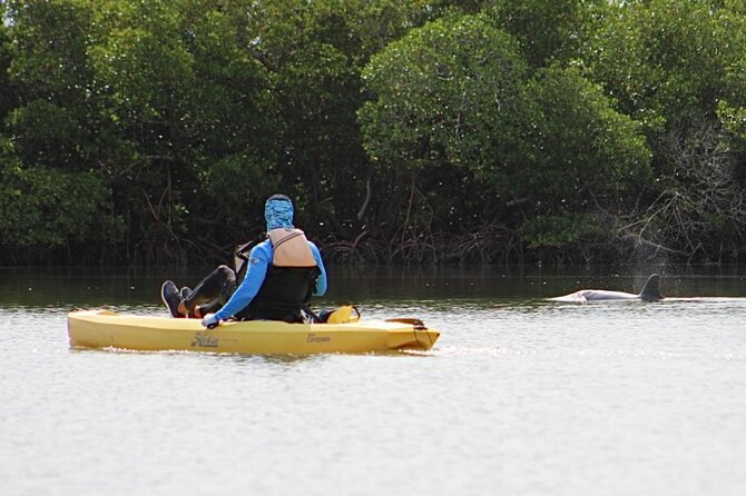 Easy Ride Pedal Kayak Tour Marco Island & Naples (Pedal or Paddle - The Ease of Pedal Kayaks for All Ages