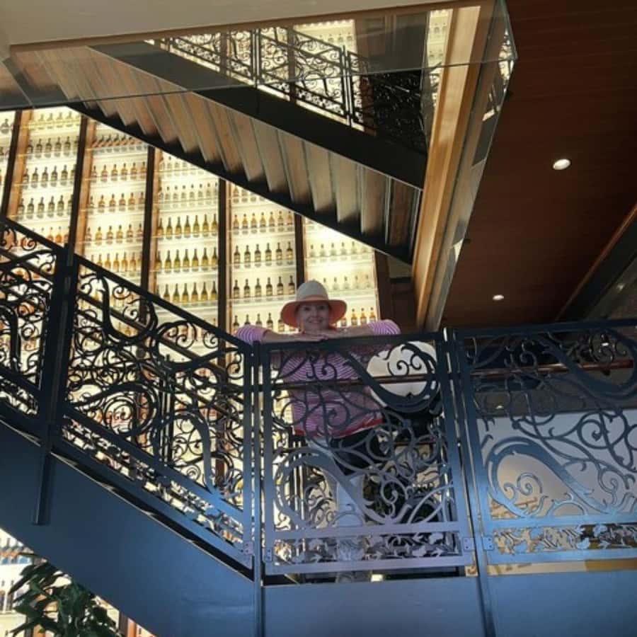 Eat, Drink, and "Vue" New Orleans! - Starting at Vue Orleans for Unmatched City Vistas