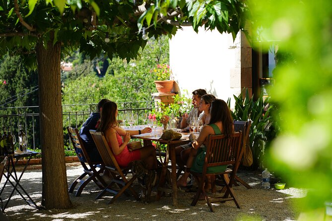 Ebike Tour, Winery, Wine Tasting & Sailing Experience(car option) - Exploring the Port Masnou and Alella Wine Region