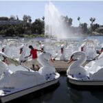 Echo Park Lake: Swan Pedal Boat Rental - Discover Echo Park Lake’s Iconic Swan Pedal Boats