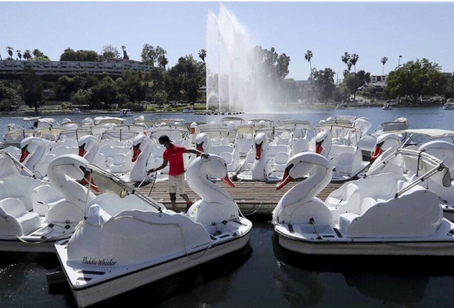 Echo Park Lake: Swan Pedal Boat Rental - Discover Echo Park Lake’s Iconic Swan Pedal Boats