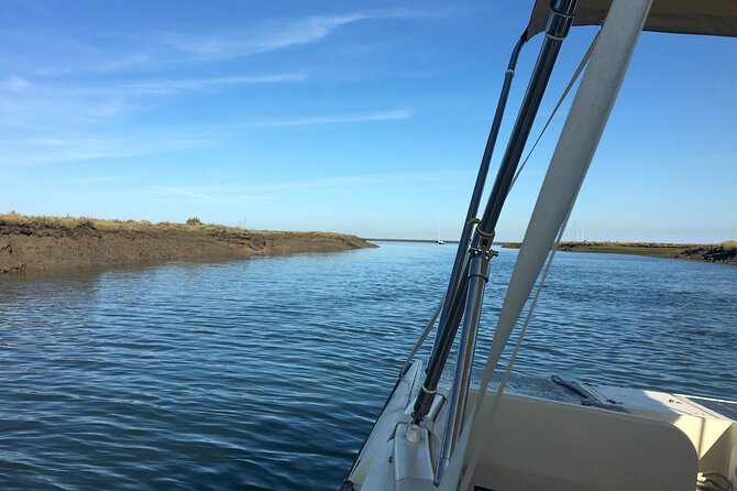 Eco Boat Tour in the Ria Formosa Lagoon from Faro - Exploring the Lagoon’s Wetlands and Marshlands