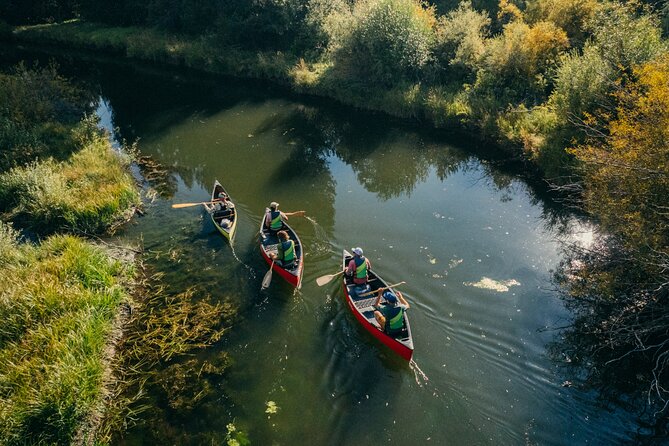 Eco Canoe Tour - What the Itinerary Includes: Marshlands and Wildlife