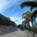 Eco Canyon Horseback Riding Excursion - The Guided Horseback Ride Through Mountain Trails