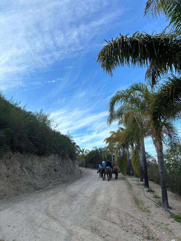Eco Canyon Horseback Riding Excursion - The Guided Horseback Ride Through Mountain Trails