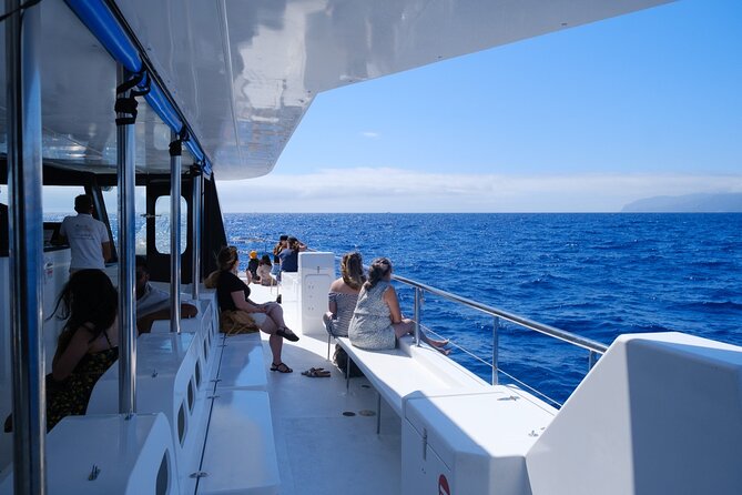 Eco-Friendly Catamaran Dolphin and Whale Watching - Spotting Marine Life: Dolphins, Whales, and Monk Seals