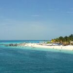 Eco Whale Shark Encounter - Meeting Point and Transportation for a Stress-Free Start