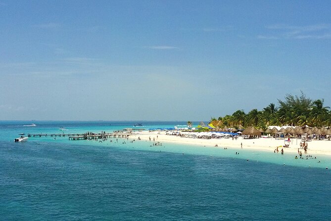 Eco Whale Shark Encounter - Meeting Point and Transportation for a Stress-Free Start