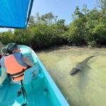 ECOSAFARI: Explore the mangroves, flamingos and crocodiles. - The Private Tour Experience in Río Lagartos