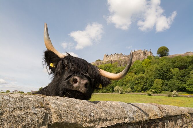 Edinburgh: Loch Lomond, Stirling Castle and the Kelpies Day Tour - Visiting Stirling Castle and Its Historic Significance