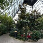 Edmonton: Museums and Muttart Conservatory Tour - Starting Point: Downtown Edmonton or Fantasyland Hotel Pickup