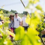 Educational Olive Oil Tasting - Exploring the Estate and Its Historic Olive Mill