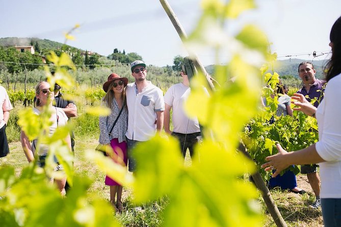 Educational Olive Oil Tasting - Exploring the Estate and Its Historic Olive Mill