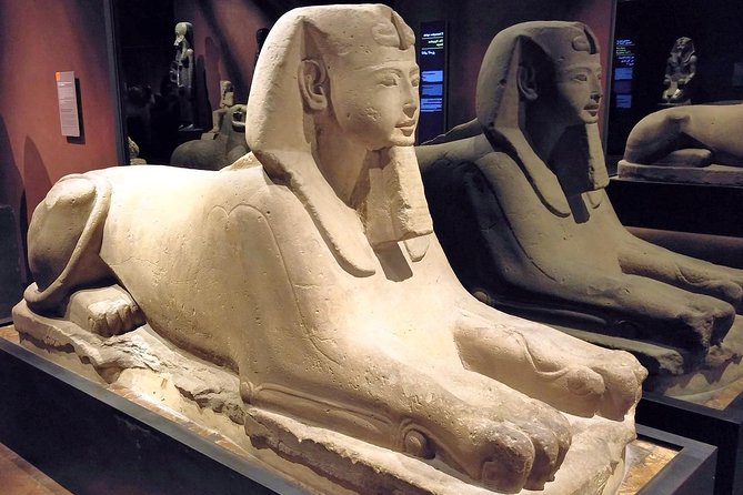 Egyptian Museum of Turin Private Tour with Expert Guide & Skip-the-line Tickets - Highlights of the Egyptian Collection: Sarcophagi, Statues, and Treasure
