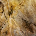 El Castillo Caves and Paleotithic Art- small groups - Discovering Las Monedas and Its UNESCO Status