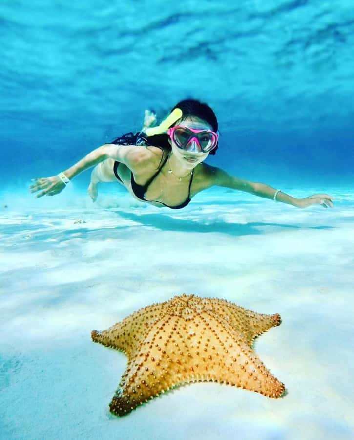 El Cielo and El Cielito Catamaran Tour with Slide and Open Bar - Visiting Palancar Reef: Beautiful Coral Gardens and Fish