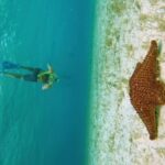 El Cielo Beach Snorkeling Adventure by Catamaran - What Makes This Tour Stand Out in Cozumel