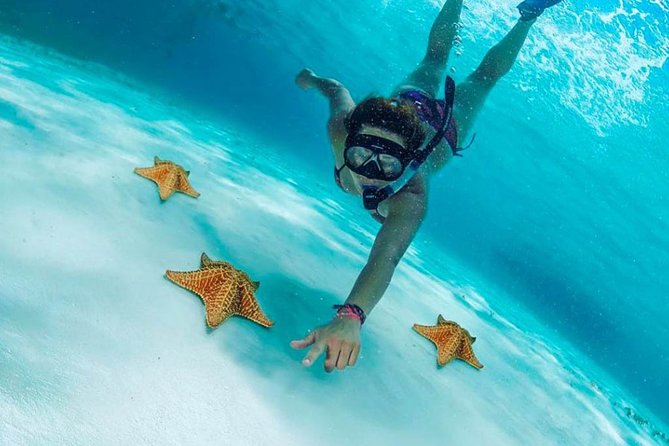 El Cielo Cozumel, a paradisiacal tour. Be amazed by the stars near to you. - Snorkeling at Colombia, Palancar, and El Cielo Reefs