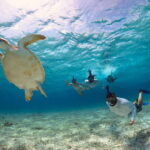 El Cielo Cozumel private snorkel tour - Starting Point and Logistics at the Marina