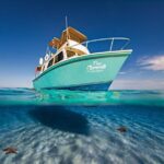 El Cielo Cozumel Snorkeling Tour - All-Inclusive - Pickup and Transportation in Cozumel