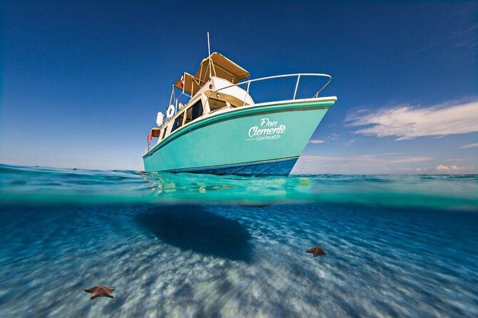 El Cielo Cozumel Snorkeling Tour - All-Inclusive - Pickup and Transportation in Cozumel