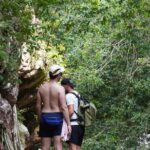 El Nogalito Mountain River- Hiking Tour - Exploring El Nogalito: The Heart of the Tour