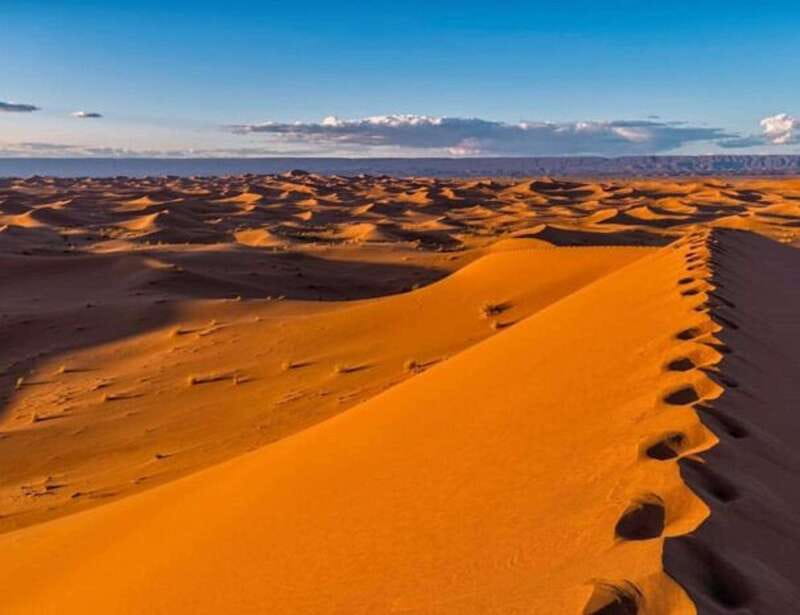 El pinacate: 4-day tour of the craters and Altar desert - Starting Point: El Pinacate Biosphere and Its Volcanic Shield
