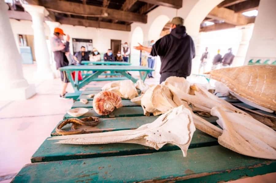 El Pinacate: 5-day tour to the craters and the Altar desert - Discovering the Pinacate Biosphere and Its Volcanoes