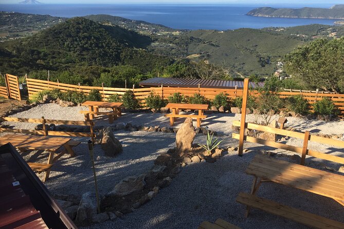 Elba Island Farmhouse tasting experience - Tasting Local Produce Directly from the Farm